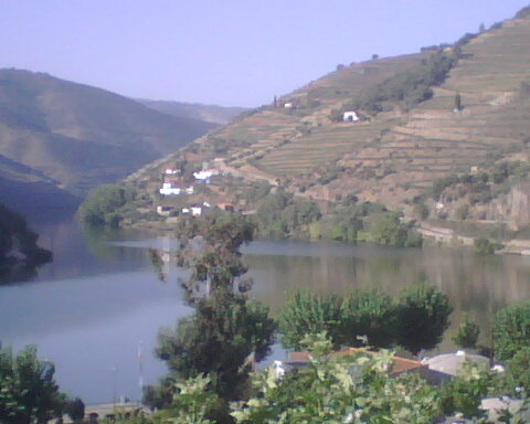 Quinta de la Rosa