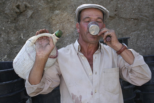 Cheers from A Good Nose.Com