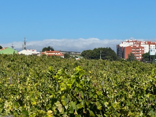 Clouds over the mountains