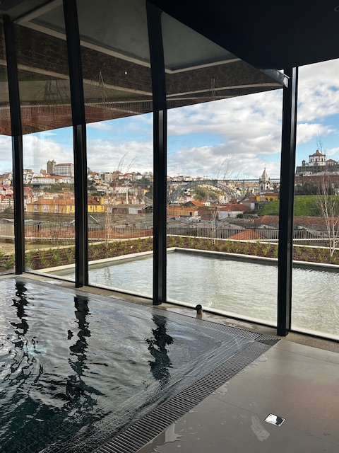 The indoor pool links visually with the landscaping