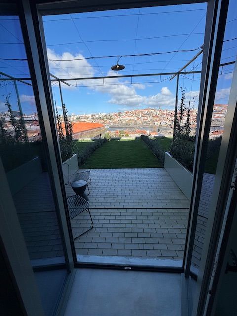 The patio and garden